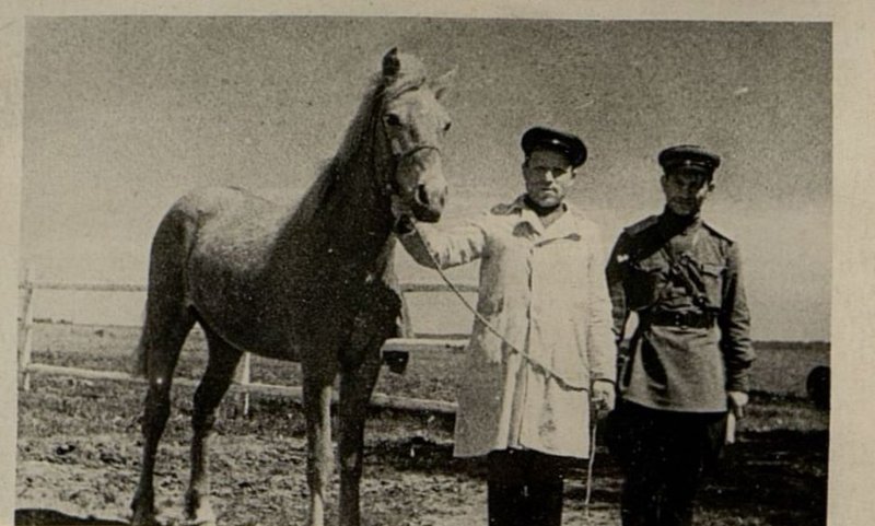 Фотография: Подсобное хозяйство