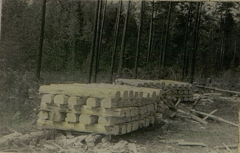 Фотография: Заготовленные шпалы для военно-полевой железной дороги (ВПЖД)