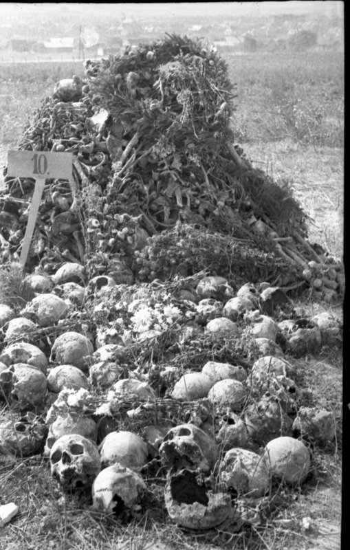 «Концлагерь Майданек. Черепа и кости узников.»