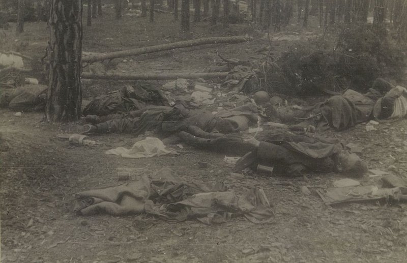 Image: The enemy's manpower destroyed by our artillery in the forest in the Halbe region. Southeast of Berlin
