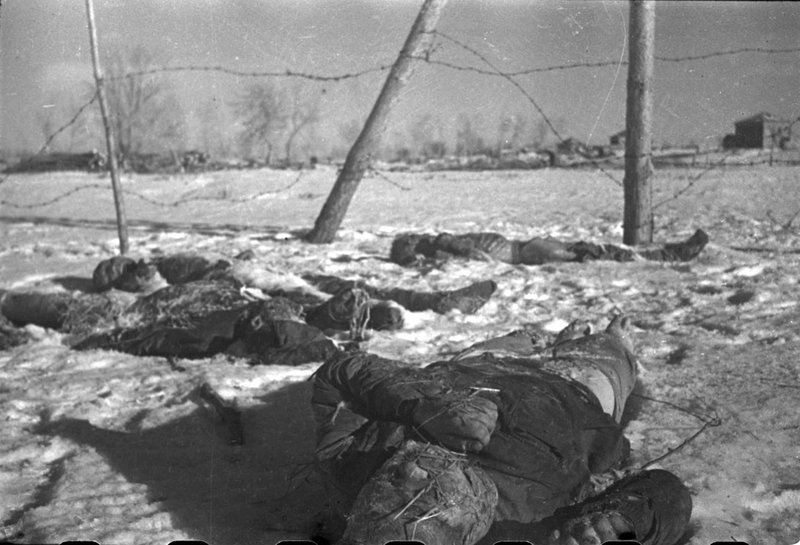 Soviet POWs killed by the Nazis (Stalingrad)