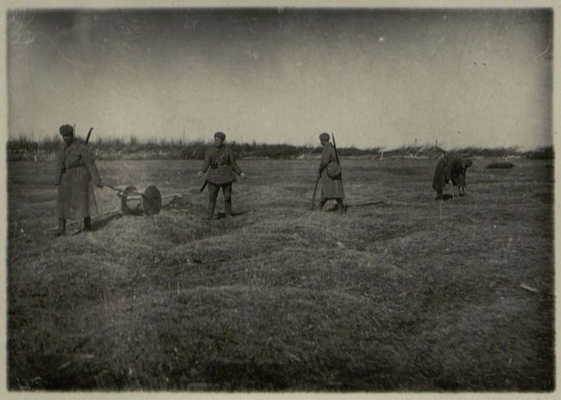 Image: Laying a cable line