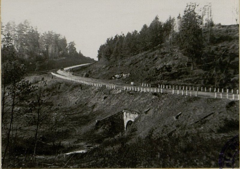 Фотография: Танкисты 1 танкового батальона совместно с бойцами 282 стрелковой дивизии овладели дефиле и западным берегом реки Эма-Иыги в районе мз. Кяревере