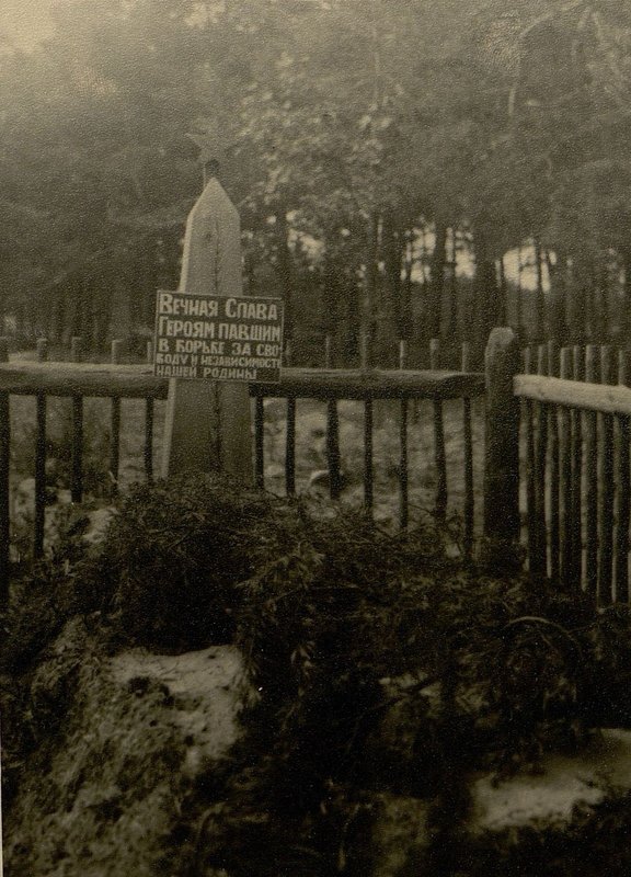 Image: Mass grave number 20