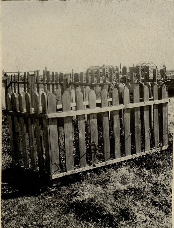 Image: Individual graves are located on the eastern outskirts of the village of Zhilin Bor, Polikarovsky village council, Gress district, Bobruisk region.