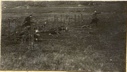 Image: 181st Infantry Regiment in World War II