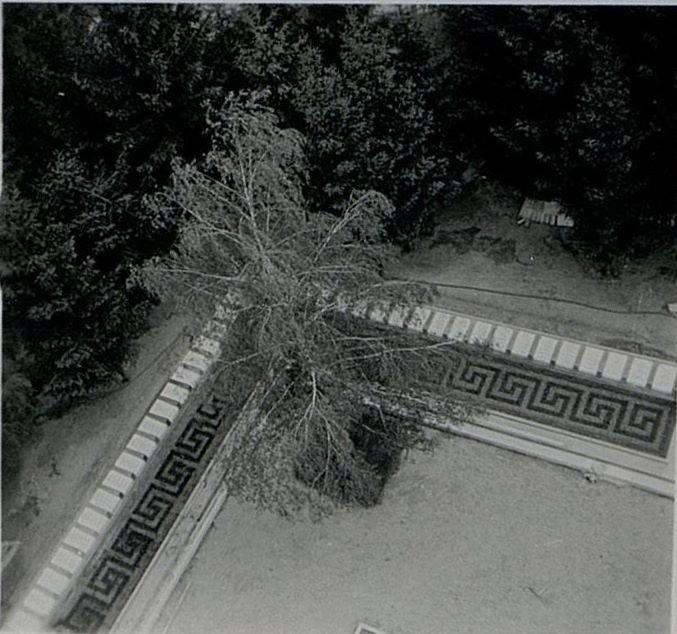 Фотография: Общий вид