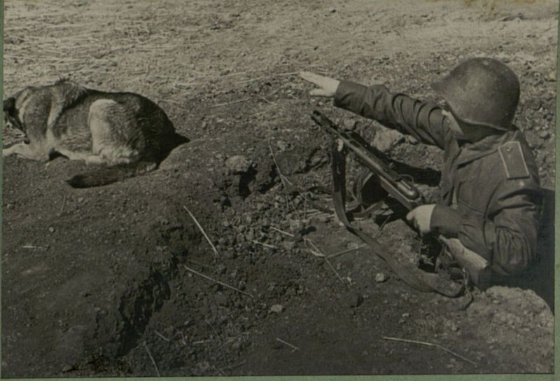 Фотография: Войска продвигаются