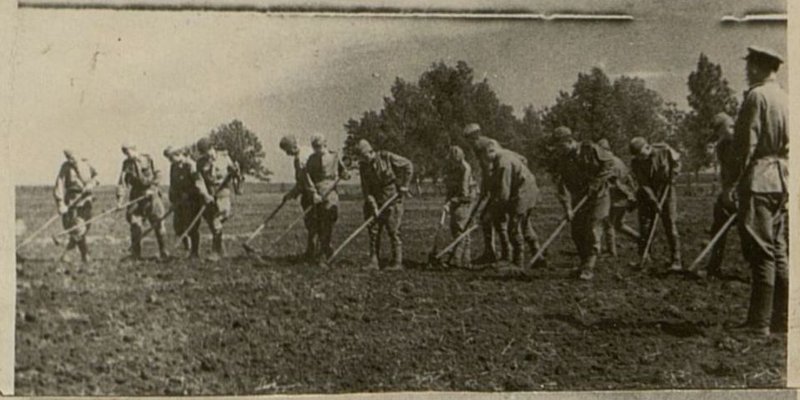 Фотография: Подсобное хозяйство