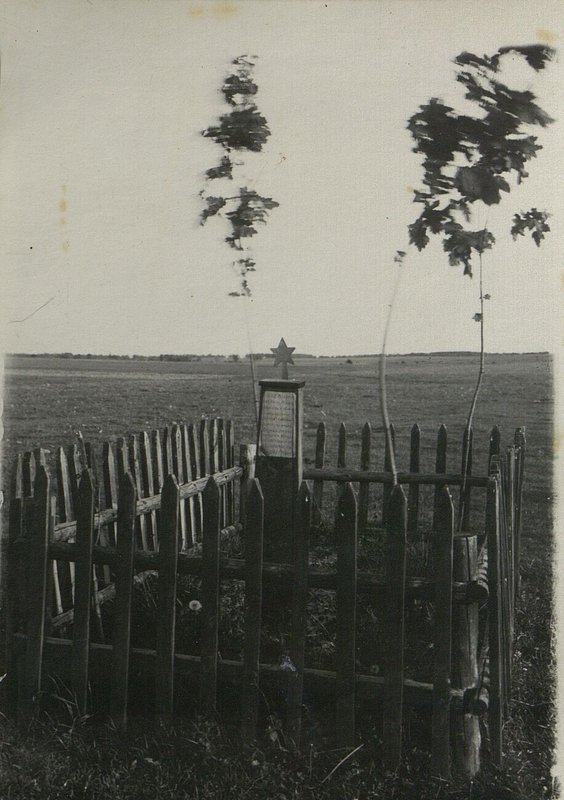 Фотография: Братская воинская могила № 11, Гродненская обл., Берестовицкий район, Б. Берестовицкий сельский совет, д. Жабры, восточно 50 м деревни