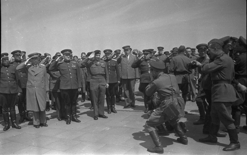 Без названия
