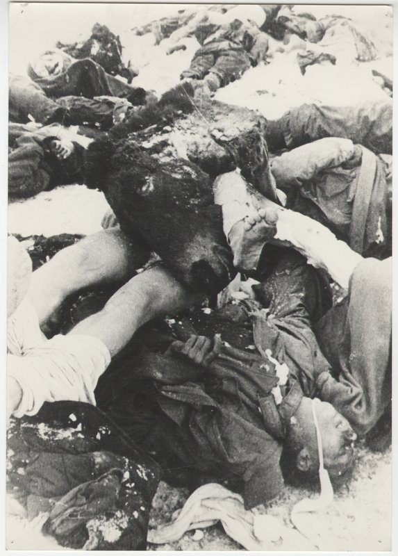 "Stalingrad"