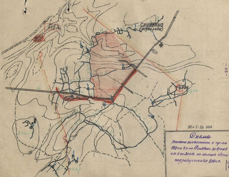 Image: Diagram of the sector captured from the enemy by the 192nd Mountain Rifle Regiment in the Sinyavino area from 16.9 to 20.9.43 at the time of delivery to the 219th Rifle Regiment