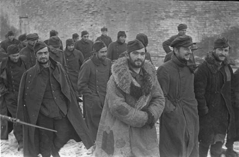 Без названия