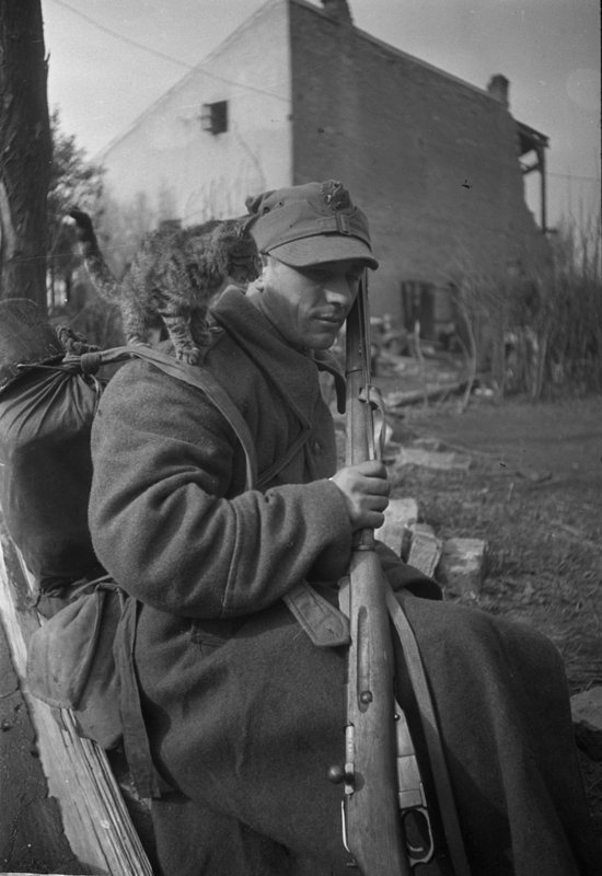 Рядовой Войска Польского
