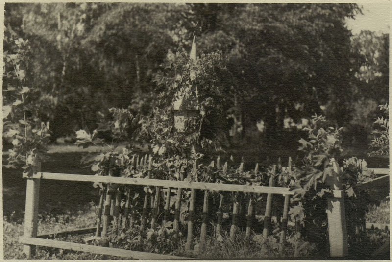 Image: Military burial, Oshmyansky district,  Golshany