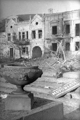 Без названия