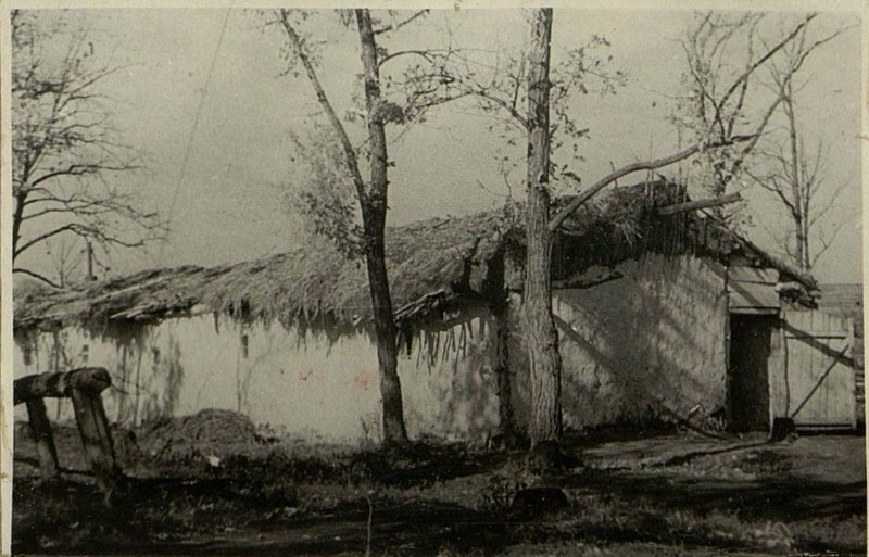 Фотография: Подсобное хозяйство