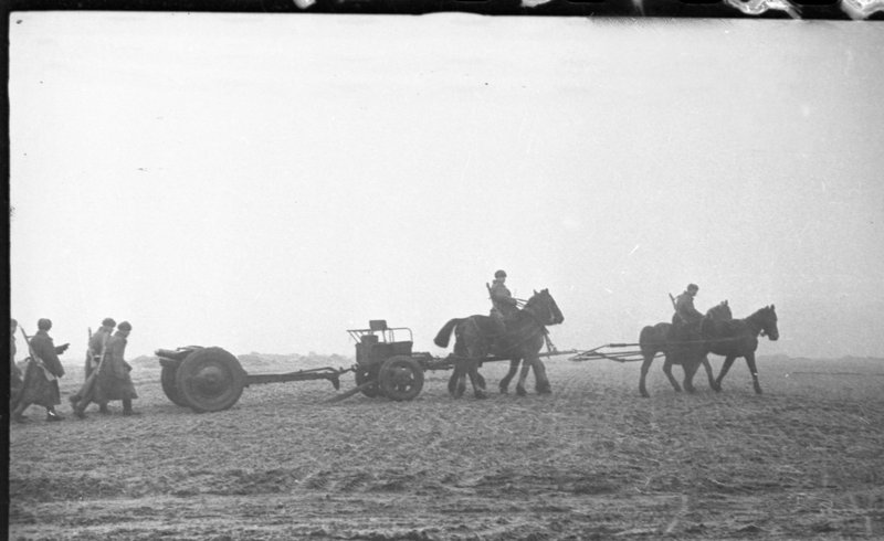 «1-й Украинский фронт. Артиллеристы и 76-мм полковая пушка обр. 1927 года на конной тяге (упряжка-четверик).»