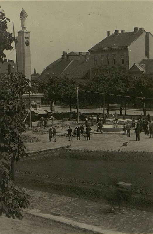 Фотография: Леса сняты