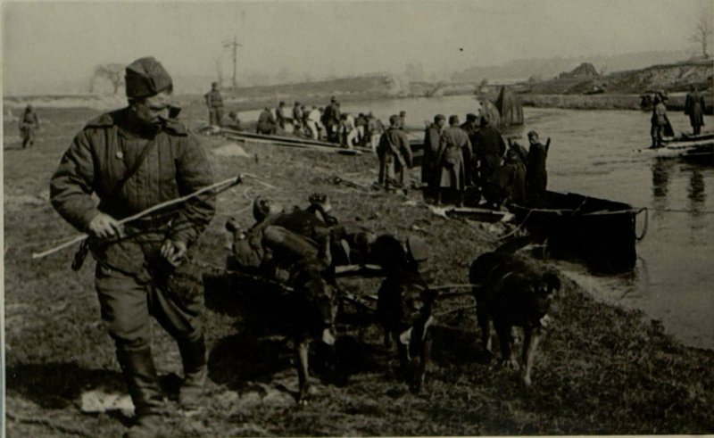 Фотография: Санитары вывозят раненых во время переправы