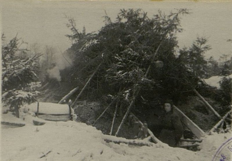 Image: Combat vehicles in insulated dugouts in winter conditions