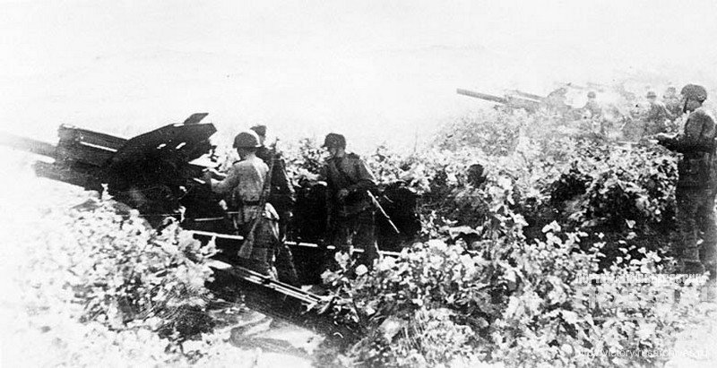Вид огневой позиции советских войск