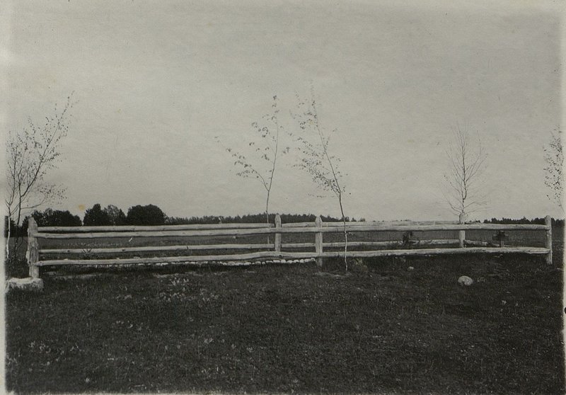 Image: Fraternal military grave No. 9, Grodno region, Berestovitsky district, Berestovitsky village council, Karpovtsy village, northeast 400 m of the village