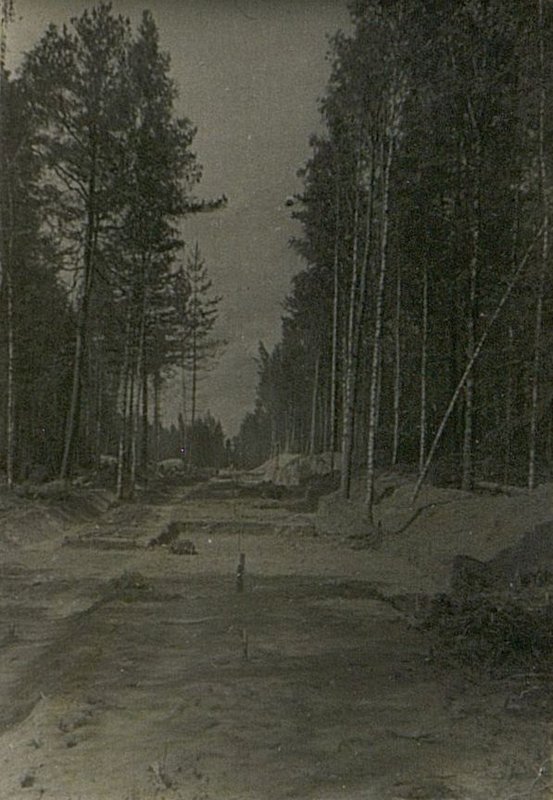 Фотография: Возведение земляного полотна для военно-полевой железной дороги (ВПЖД)