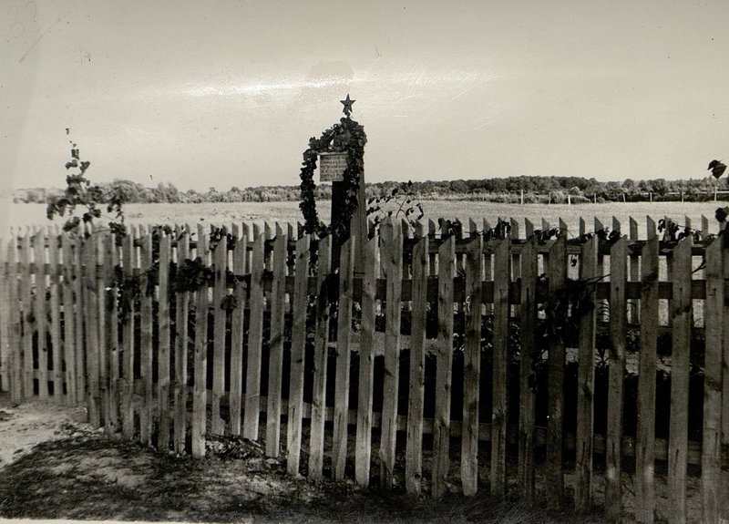 Фотография: Братская могила расположена у д. Величковичи, Высоковского района