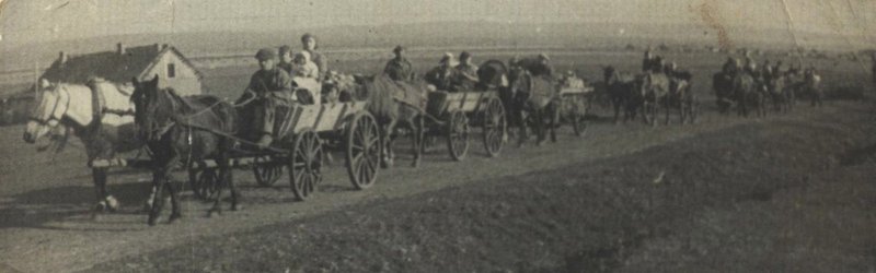 Эвакуация населения из Крыма (город Саки) в Башкирскую АССР (дер. Урняк). На первом возу - семья Берлина Я.Е.: Галя, Ира и Маша