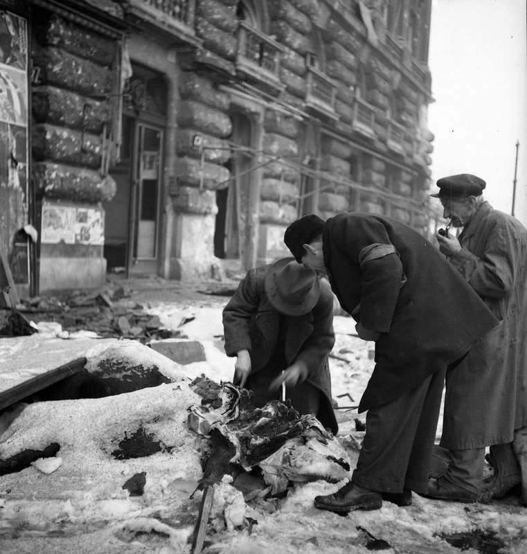 Residents of Budapest on one of the city streets cut up the corpse of a dead horse for later use of its meat for food