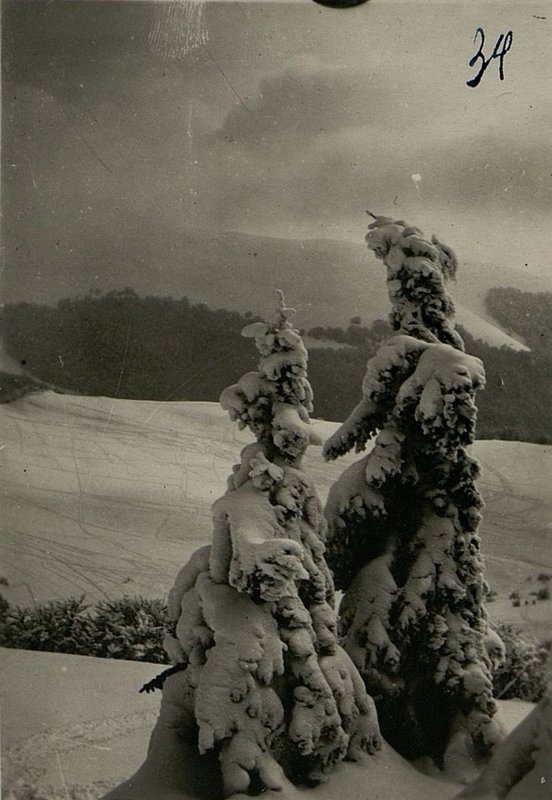 Фотография: Горные виды