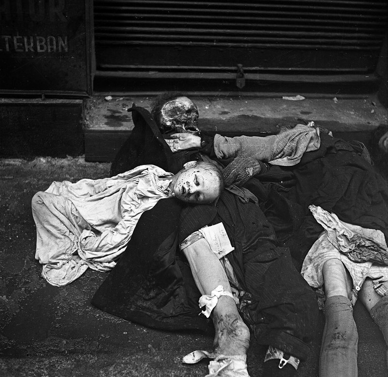 Corpses of Jews from Budapest brutally murdered by Nazis