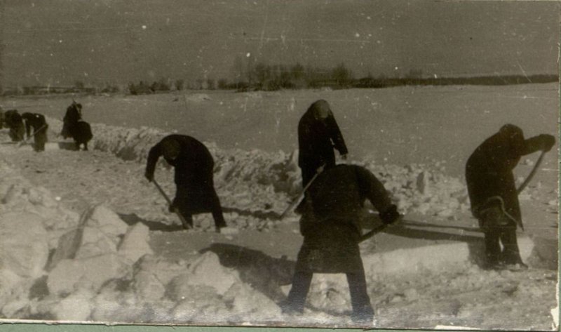 Фотография: Население освобожденных сел помогает Красной Армии в расчистке дорог