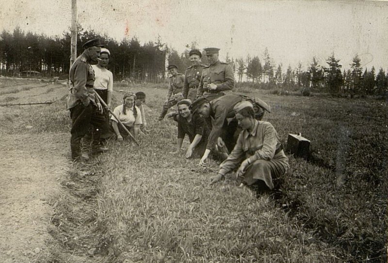 Фотография: В подсобном хозяйстве в тылу полка