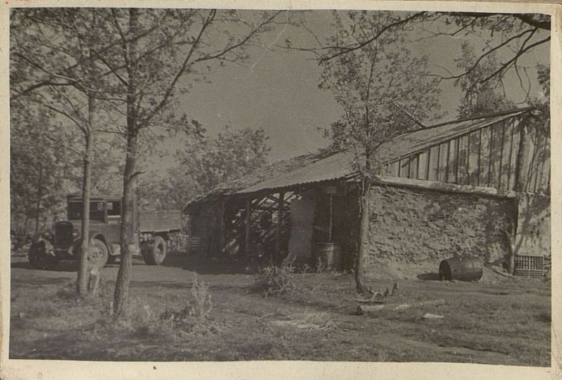 Фотография: Подсобное хозяйство