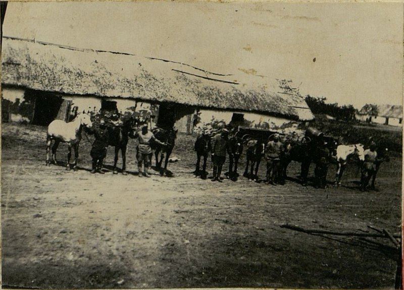 Фотография: Конный обоз