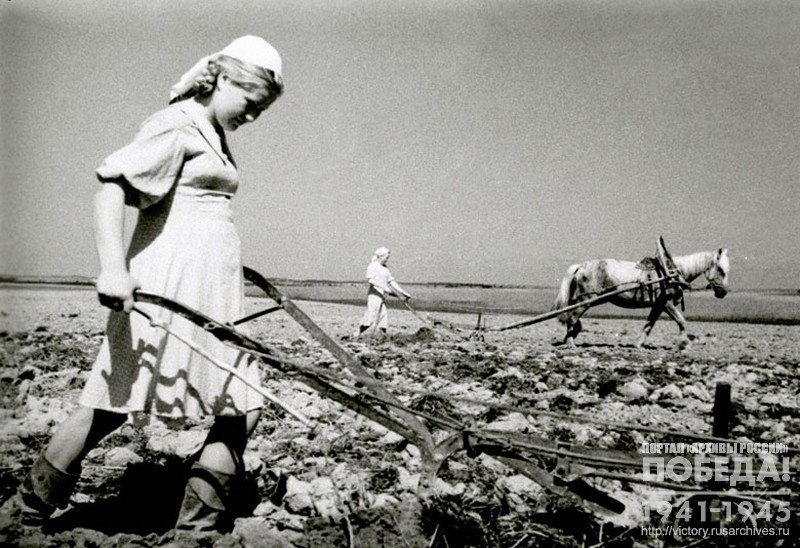 Колхозница колхоза «Заря» ученица 7-го класса Т. Пестова за вспашкой паров