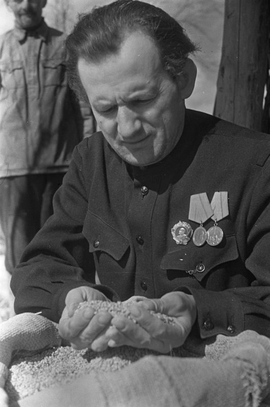 Без названия