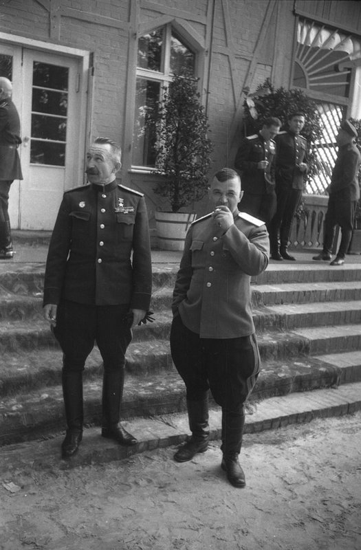 Без названия