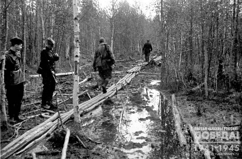 Log paths connecting battalion to companies