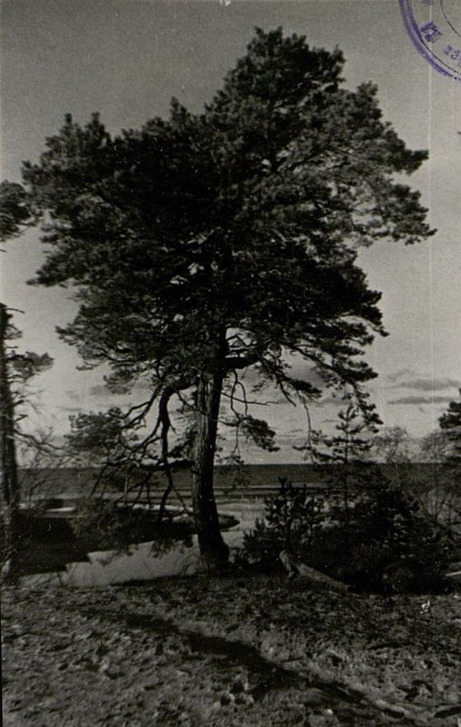 Image: View of the Gulf of Riga in the Grintals area