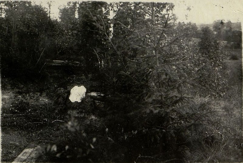 Фотография: Орудийный окоп, с подходящей к нему траншеей