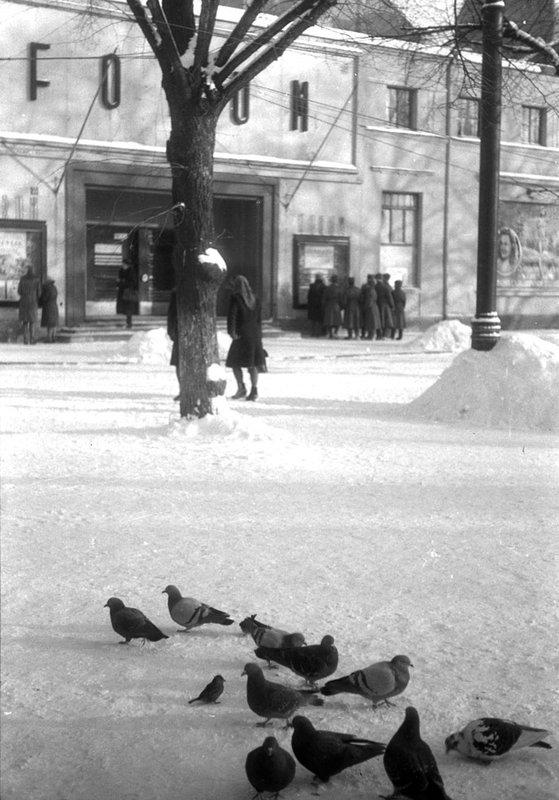 Без названия