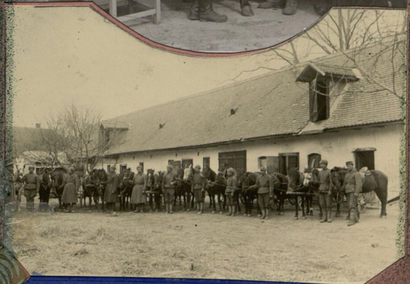 Image: Horse yard