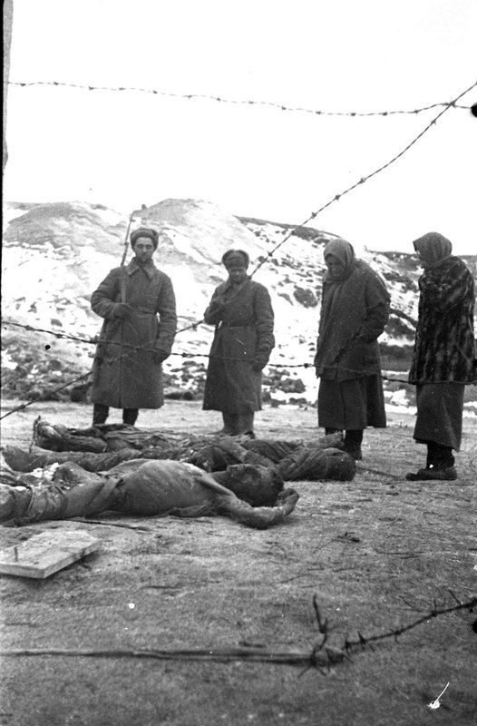 В освобожденном нацистском лагере для военнопленных (Сталинградская область)