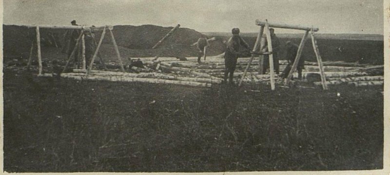 Фотография: Подсобное хозяйство