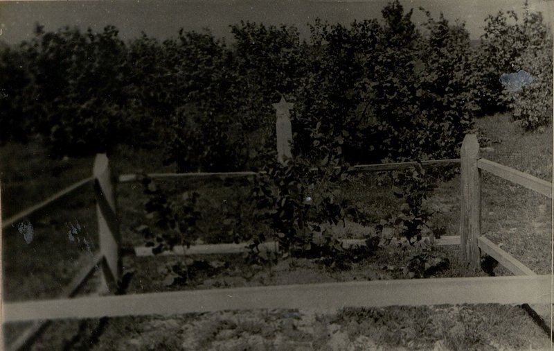 Image: Mass grave