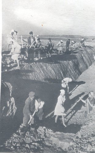 Трудящиеся города строят оборонительные рубежи. Сталинград